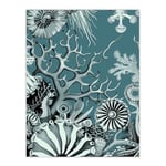 Artery8 Coral Reef Life Aquatic Blue Landscape Design Bathroom Large Wall Art Poster Print Thick Paper 18X24 Inch