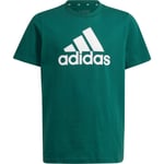 adidas Big Logo T-skjorte Barn - Grønn - str. 164