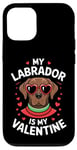 iPhone 12/12 Pro Chocolate Labrador My Valentines Hearts Day Dog Mom Dad Case