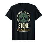 Family Reunion 2025 Matching Design - Stone T-Shirt