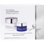 Dr. Susanne von Schmiedeberg Ansiktsvård Face creams Presentförpackning L-Carnosine Anti-A.G.E. Cream normal to dry skin 50 ml + Night Performer L-Carnosine Anti-A.G.E. Cream 15 ml 1 Stk. (994,00 kr / 1 st.)