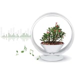 Lampe led ludique avec jardinière intégrée et enceinte bluetooth 25 led