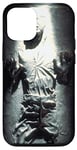 iPhone 14 Star Wars The Empire Strikes Back Han Solo Carbonite Case