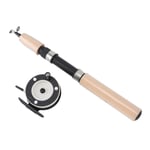 Ice Fishing Rod Reel Combo 75cm Winter Fishing Pole For Fathers Sons TDM