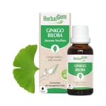 Pranarôm HERBALGEM - Macérât-Mère - Ginkgo Biloba Bio - Complément Alimentaire Gemmothérapie Concentrée - Extrait De Bourgeon Frais - Pour Circulation Sanguine, Mémoire et Concentration - 30 ml