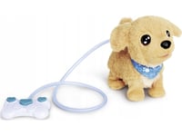 Ccl Chi Chi Love Loomy Golden Retriever Kontrolleras Av Lysande Kabel Simba