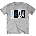 The Beatles Kids Tee: Abbey Road Colours Crossing - 11 - 12 Years - Grey