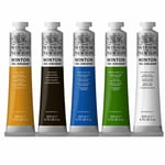 Winsor & Newton Winton Student Oil Paint 200ml - 55 Colours Available