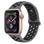 Bracelet Sport en Silicone Bicolor Remplacement pour Apple Watch Series 5 / 4 44mm - Gris&Noir (Taille L)