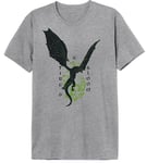 House of the Dragon Men's Mehoftdts020 T-Shirt, Melange Grey, XXL