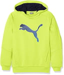 Puma Hero Hoody FL Sweat-Shirt pour Enfant, Hero Hoody FL, Citronier, 152
