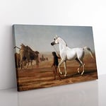 Jacques Laurent Agasse The Wellesley Grey Arabian Classic Painting Canvas Wall Art Print Ready to Hang, Framed Picture for Living Room Bedroom Home Office Décor, 76x50 cm (30x20 Inch)