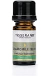 Tisserand Aromatherapy - Chamomile (Blue) Chamomilla Recutita Ethically Harvested (2 ml)