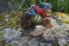 97245 FIGURINE TROLL SANGLIER N°12 FORET CHASSE  FEE  PIXIE ELFE PIXIES DERNIER 