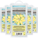 Yankee Candle Wax Melts Scented Home Room Fragrance Lemon Lime Popsicle 75g x5