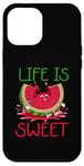 iPhone 12 Pro Max Melon Summer Fruit Watermelon Lover Fresh Cool Joke Case