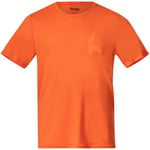 Bergans of Norway Rabot Mount Wool Tee Men