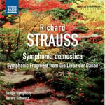 Gerard Schwarz  Symphonica Domestica  CD