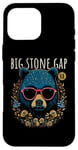 Coque pour iPhone 16 Pro Max Big Stone Gap Virginia USA Motif ours insolite