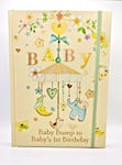 Baby Bump to 1st Birthday Journal Pregnancy Keepsake Newborn Gift Record Book