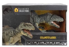 Jurassic World Hammond Collection Giganotosaurus Action Figure New With Box