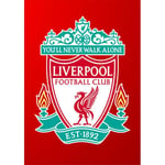 5d Diy Full Drill Diamond Painting Liverpool Embroidery Mosaic Kit Home Decor Uk