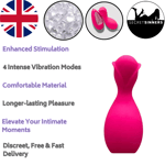 Remote Clitoris Vibrator Wearable Bullet Egg G-Spot Massage Sex Toys for Women