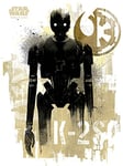 Star Wars Rogue One (K-2S0 Grunge) 60 x 80 cm Toile Imprimée