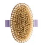 Demeliss Beauty - Brosse Sèche Exfoliante - Gommage Corps - Bronzage Longue Tenue - Poils Synthétiques