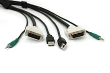 BLACK BOX SECURE DVI KVM CABLE - USB A-B, 3.5MM AUDIO, 10-FT. (3.0-M) (SKVMCBL-DVI-10)