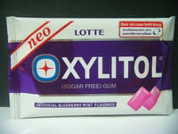 Set of LOTTE Xylitol Gum Lime Mint, Fresh Mint, Mint, Blueberry Mint