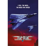 Top Gun (The Need For Speed) Plakat