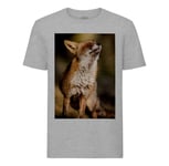 T-Shirt Homme Col Rond Renard Bain De Soleil Mignon Animal Sauvage Nature Photo