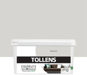 Peinture murs et boiseries Tollens bois flotté satin 2,5L