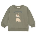 Konges Sløjd Lou sweatshirt – mulled basil - 12m