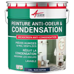 Peinture anti condensation anti odeur moisissure Bleu saphir RAL 5003 2.5 L