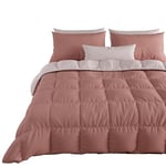 PETTI Artigiani Italiani - Couette Chaude Hiver 240x260 Bicolore PoudreRose, Couette Double Face, Couette pour lit 2 Personnes, Couette en Microfibre 300g/m², Made in Italy