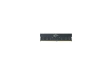 PNY Performance - 16GB DDR5 RAM 5600MHz (Bulk)