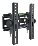 Electrovision Tilting TV Mounting Bracket (Screen Size 24-42 inch)