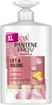 Pantene Shampoo With Biotin and Rose Water, Volume Shampoo, Thickening Shampoo,