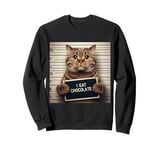 I Eat Chocolate Cat Men Women Kids Boys Girls Teens Family Sweatshirt