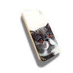 COQUE RIGIDE CHAT MIGNON PERSAN GRIS POUR APPLE IPHONE 5 5S SE 2016 BLANC