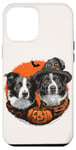 iPhone 14 Plus Halloween Border Collie Dogs Cute Witch Dog Pumpkin Bat Case