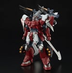 P-Bandai Master Grade MG 1/100 Mobile Suit Gundam ZGMF-1017GR Ginn Gladiator