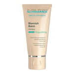 Dr. Schrammek Regulating Blemish Balm