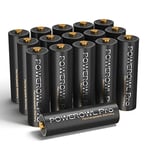 POWEROWL Piles AA Rechargeables Goldtop Pro, Haute capacité 2800 mAh, Batterie NiMH AA de qualité supérieure - 16 pièces