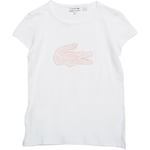 T-shirt enfant Lacoste  TJ8048