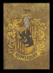 Harry Potter Hufflepuff Crest Framed Print