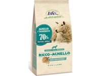 Life Pet Care Life Dog 2Kg Adult Rich In Lamb /4