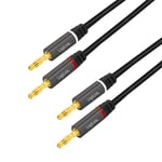 LogiLink Audio Cable 5 M 2 X Banana